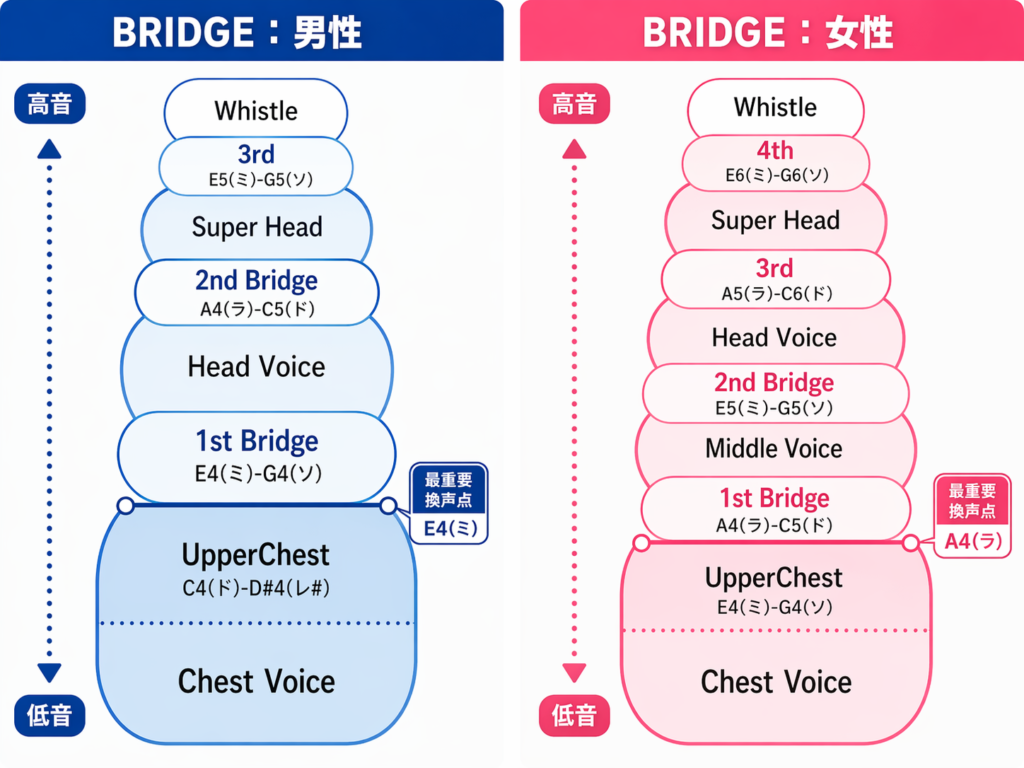 5つの声区とブリッジ